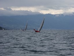 36e Coupe d&#039;Avant et d&#039;Argent 2009